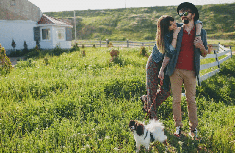 How to Find Pet-Friendly Holiday Cottages for a Memorable Family Escape Screenshot 13